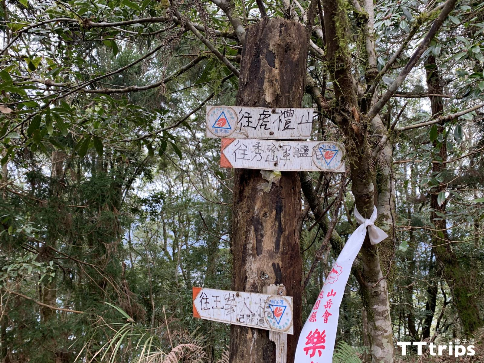 「新竹秘境」芝生毛台山步道｜登山、賞楓、泡湯、露營讓你一次滿足-21
