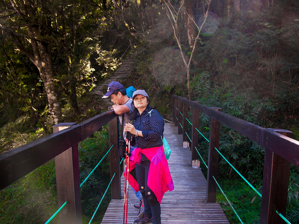檜山巨木群步道(總健行時間：約3hrs) 