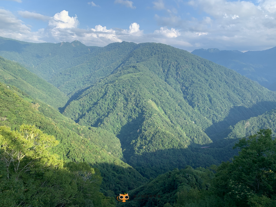 塔曼山走多久 进入魔幻森林行前准备 难度 实际状况 橘子貓tttrips