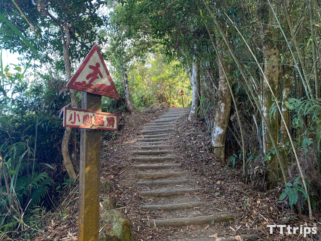 馬拉邦山楓葉季一日遊：登山步道、難度、交通整理-15