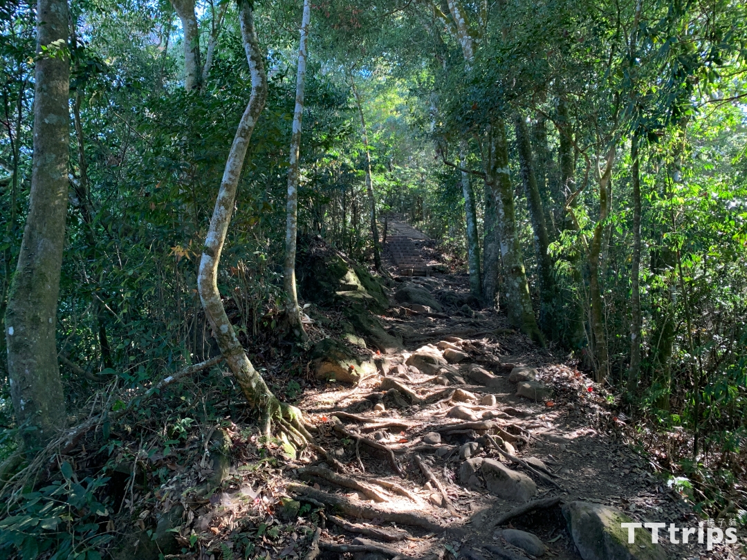 馬拉邦山楓葉季一日遊：登山步道、難度、交通整理-21