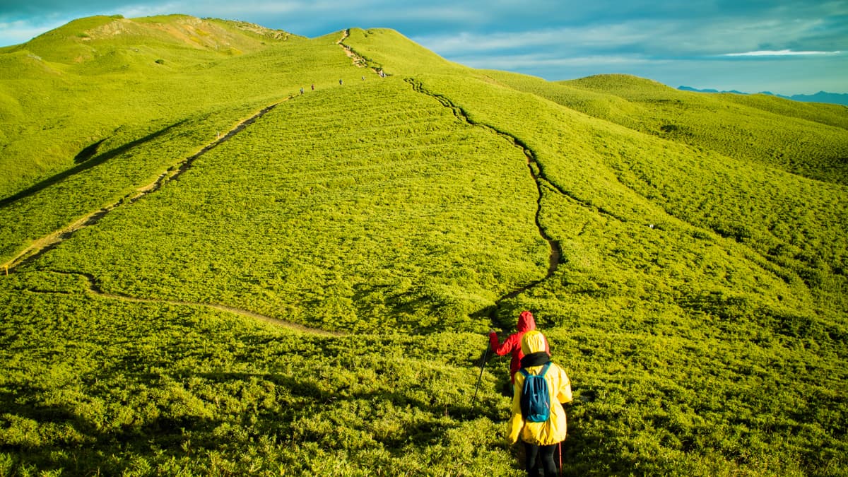 合歡山健行步道推薦,最熱門好爬的三條路線:合歡山北峰、合歡山東峰、合歡山主峰! 橘子貓TTtrips
