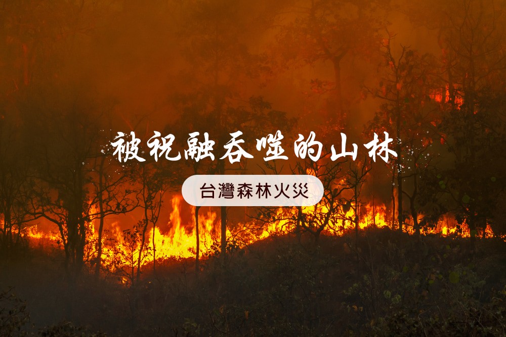The forest swallowed by Fire God | Taiwan's forest wildfire