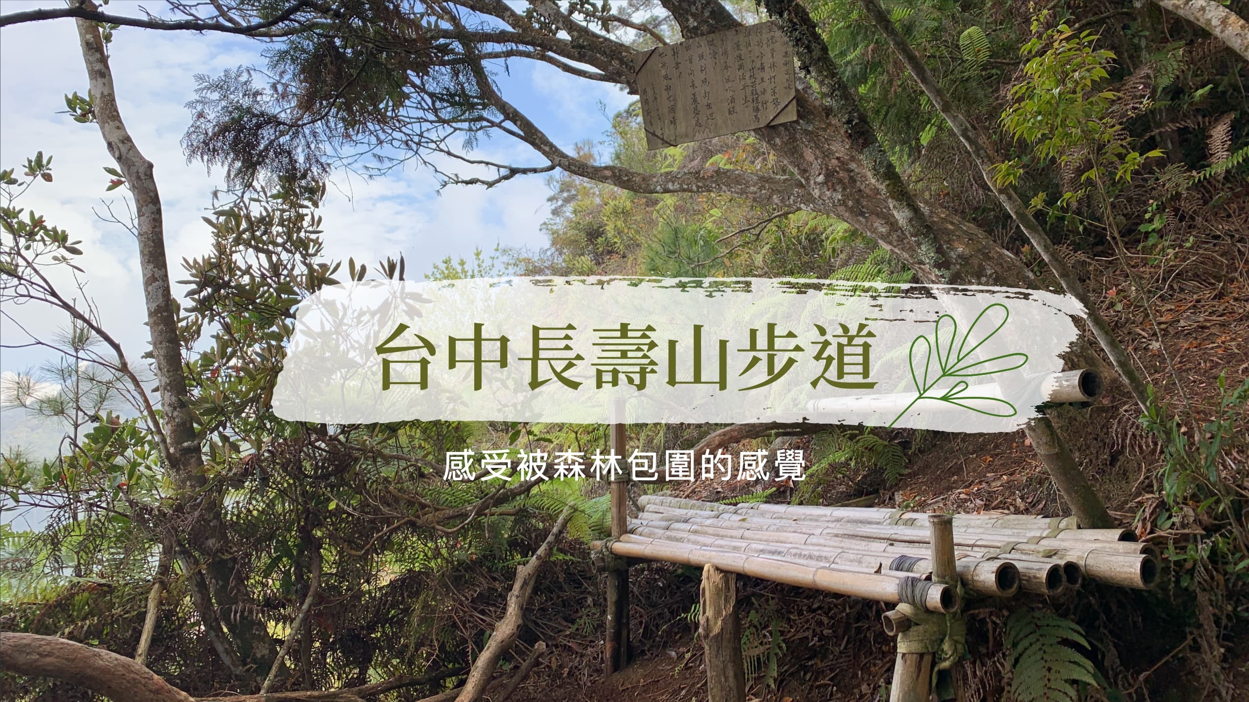 Want to feel the feeling of being surrounded by forests? Just come to Changshou Mountain!