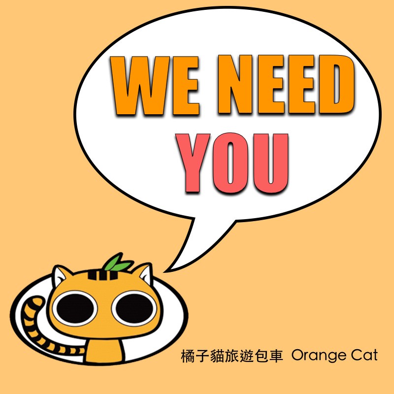 orangecat wincatalog orangecat wincatalog