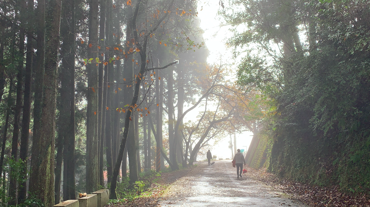 新竹雪霸國家公園二日遊 | 觀霧山莊