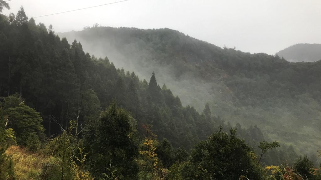 【初階健行】聖稜下的雲霧仙境 x 新竹觀霧一日遊