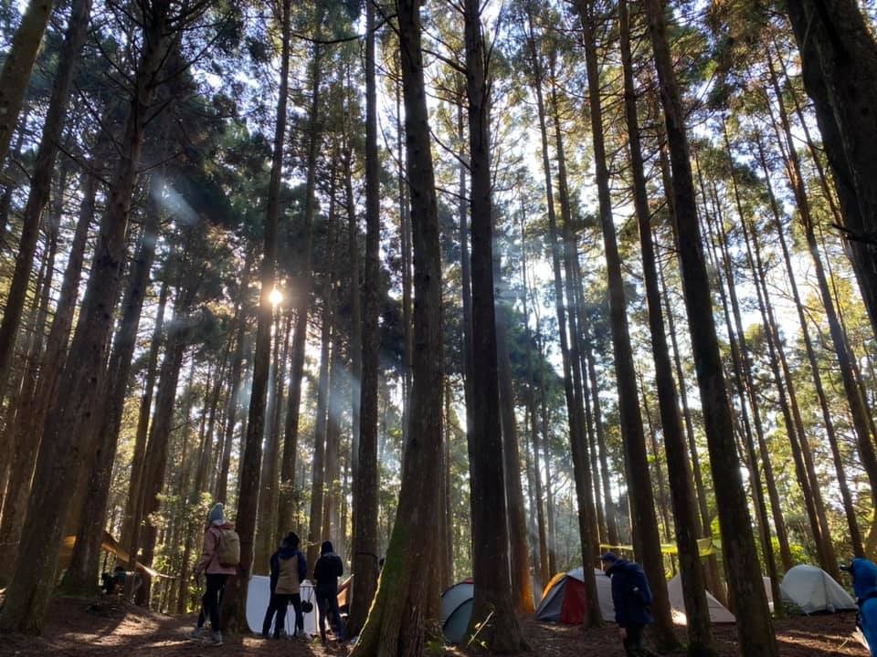 【忘憂的迷霧森林】高島縱走一日遊